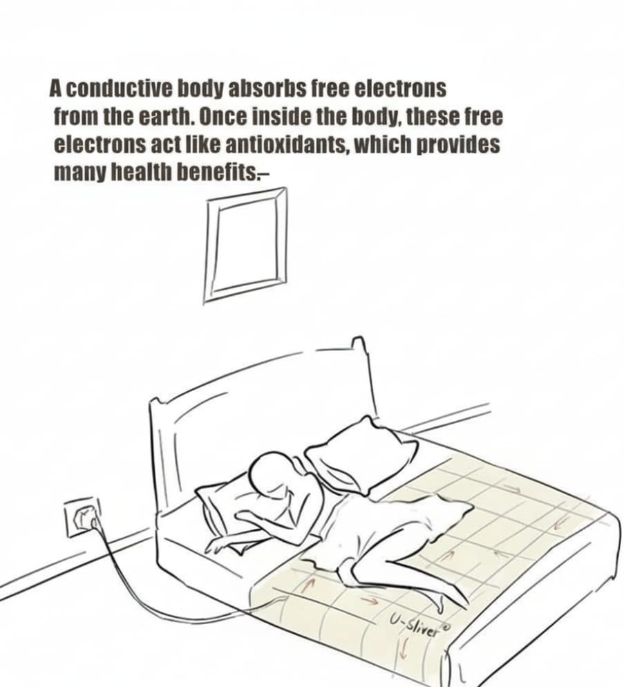 LUNA SLEEP COTTON SHEET -FLAT